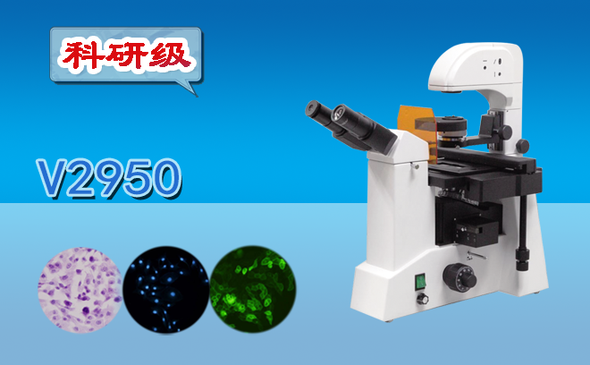 熒光顯微鏡的使用方法是什么？還不趕快收好這份使用手冊(cè)